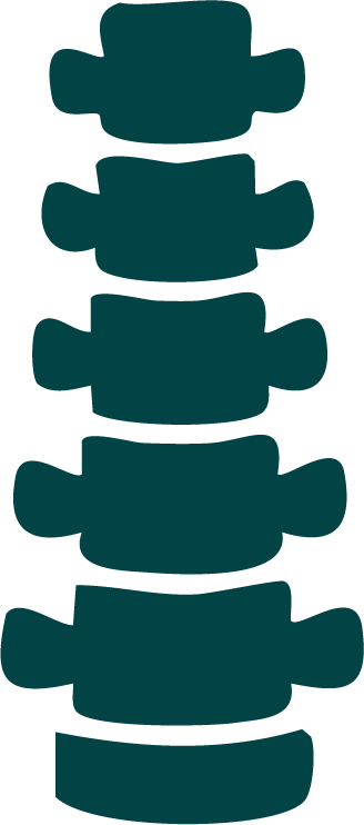 Colonna vertebrale